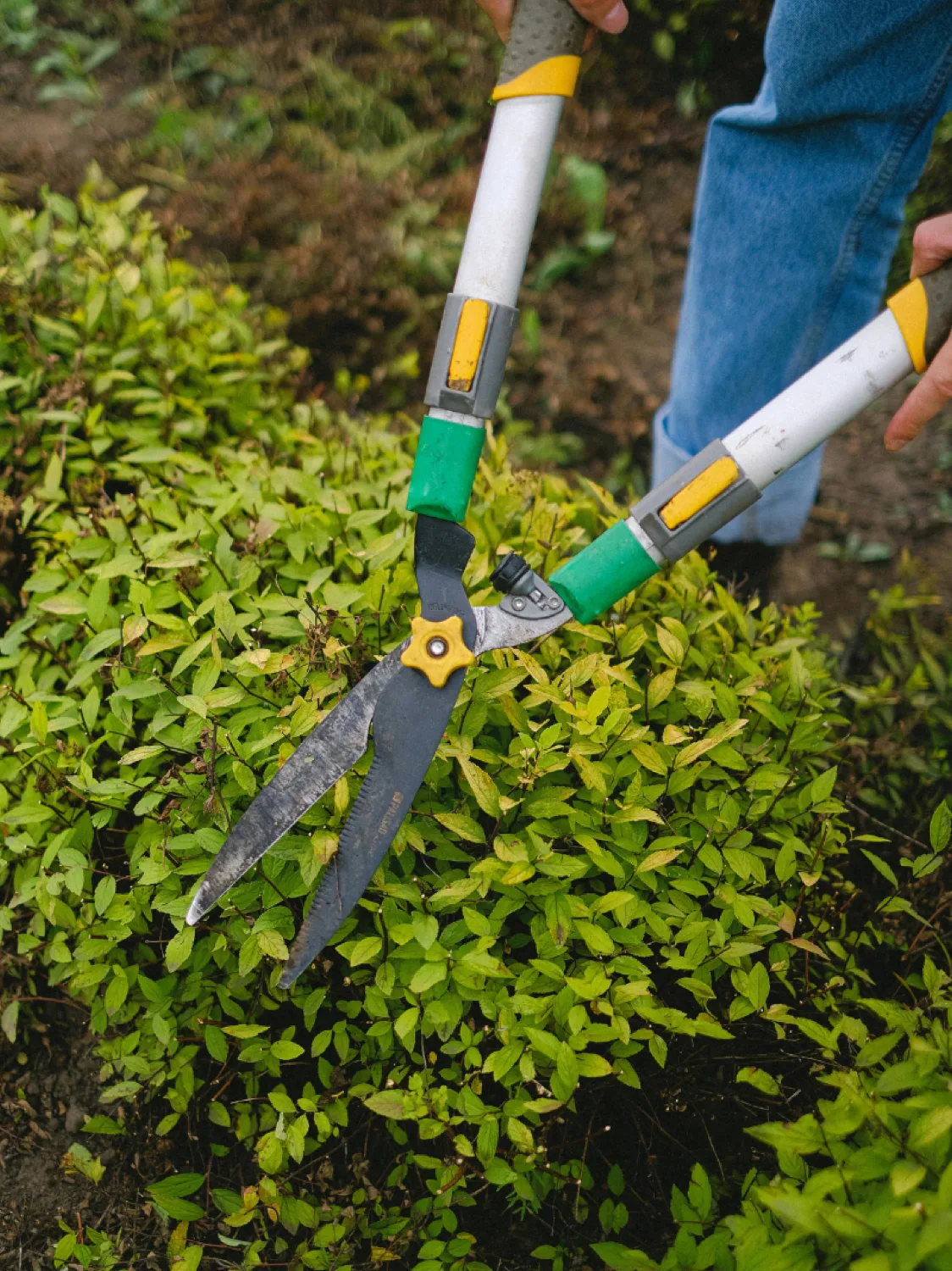 Entretien de jardins — Pévèle Espaces Verts